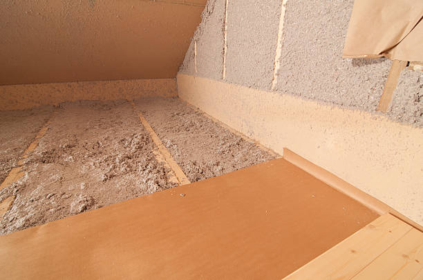 Best Energy Efficiency Insulation in Connerton, FL