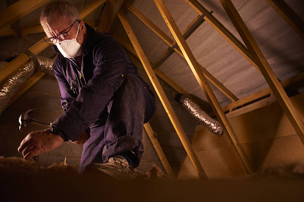 Best Cellulose Insulation in Connerton, FL