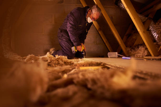Types of Insulation We Offer in Connerton, FL